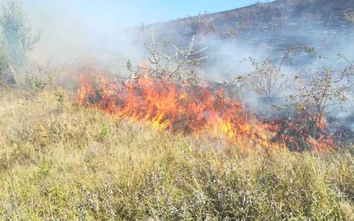 
    Incendiile de vegetație din Grecia se produc aproape în fiecare anSursa foto: Adevărul  
