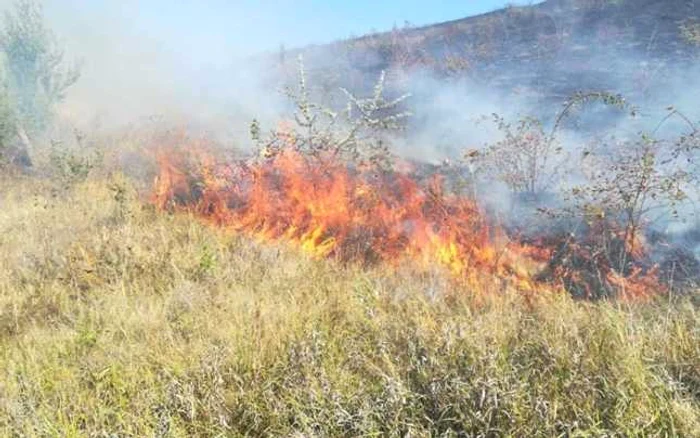 
    Incendiile de vegetație din Grecia se produc aproape în fiecare anSursa foto: Adevărul  