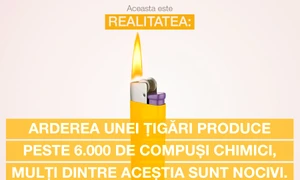 Realitatea, stimați fumători, este că nu iese fum, fără foc  Dar principala problemă este focul și arderea! jpeg