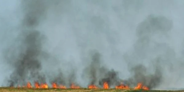 Alba: Incendiu de vegetaţie pe DN7, între Sebeş şi Orăştie