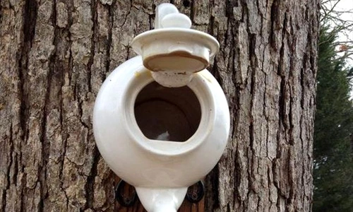 1 71524 original jpg jpeg