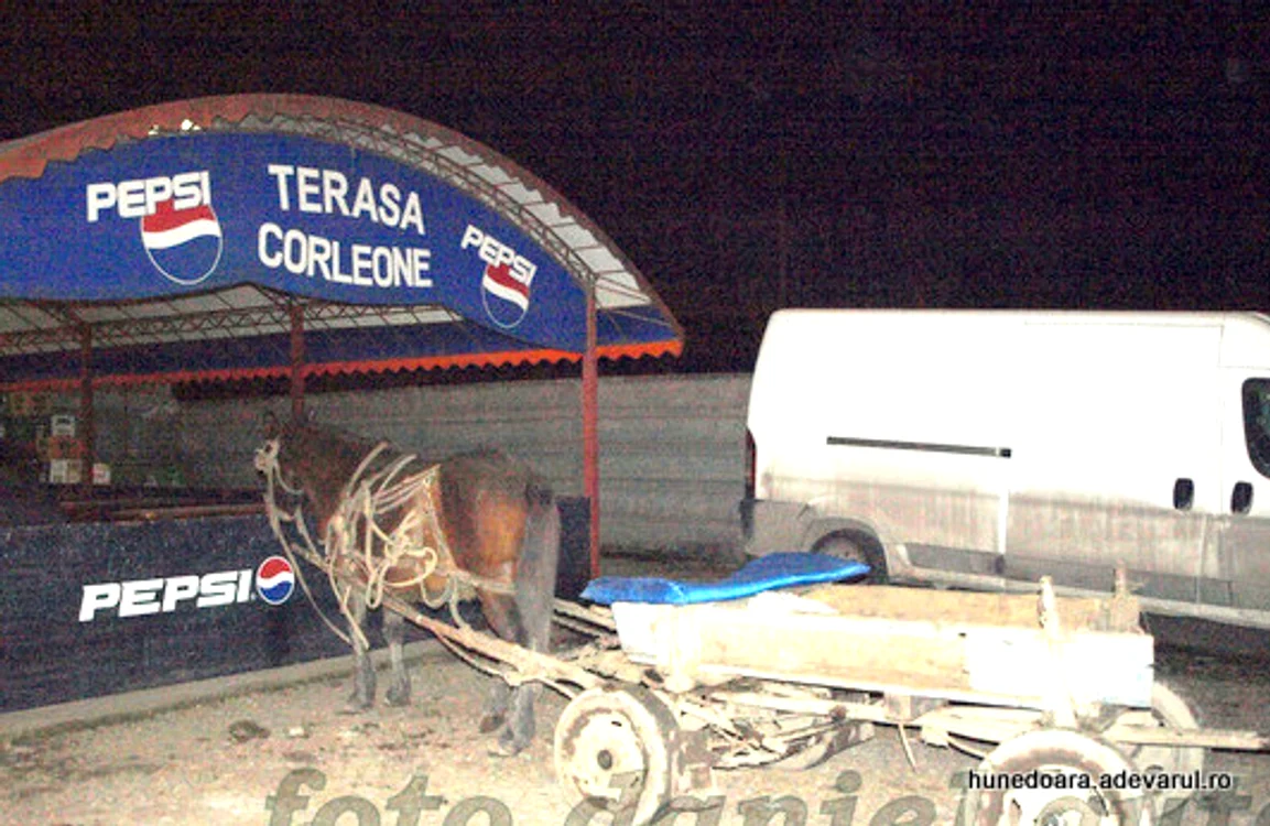 Terasa Corleone este locul unde poposesc proprietarii de atelaje. Foto: Daniel Guță