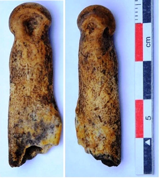 Este unica descoperire de acest gen din România. Este acea mai veche statuetă care a fost descoperită vreodată în ţările din jurul nostru