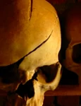 Genocidul din Rwanda: povestea unui măcel  VIDEO jpeg