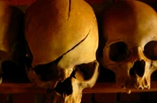 Genocidul din Rwanda: povestea unui măcel  VIDEO jpeg