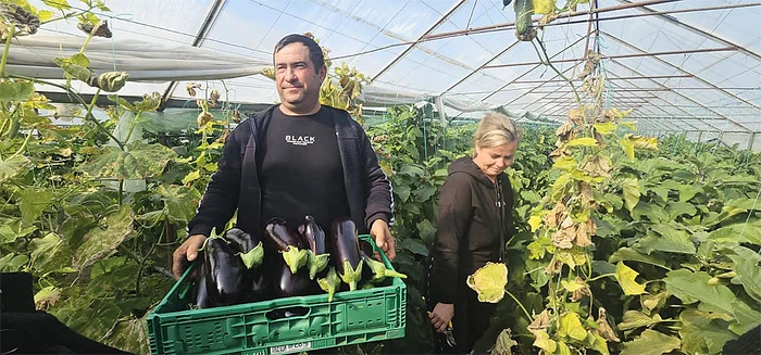 Radu Mituș este unul  dintre cei mai mari  legumicultori din Vărăști