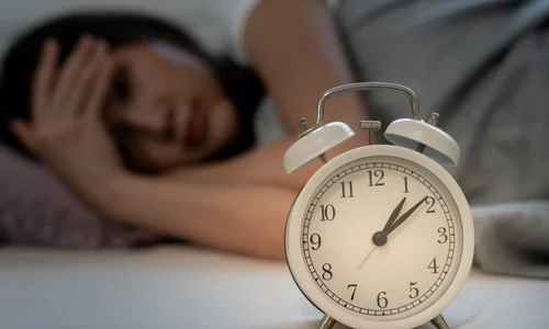 shutterstock 2481973587 jpg