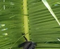29573249 10155286628056615 5131972048363130126 n jpeg