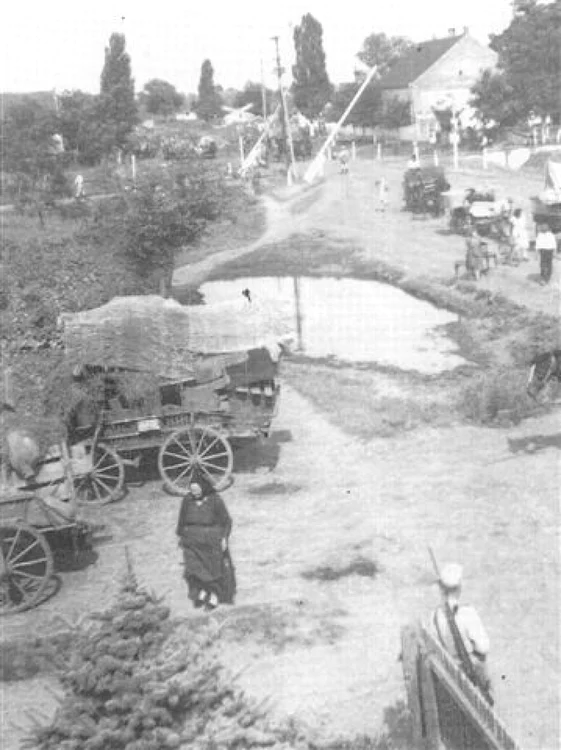 Fotografie realizată în 18 iunie 1951 la Tomnatic FOTO Hans Hahn/blog Mircea Rusnac