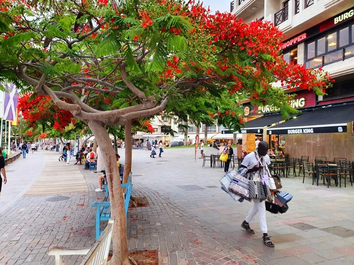 Vacanţă în paradisul din Tenerife, ,,insula primăverii nesfârşite“