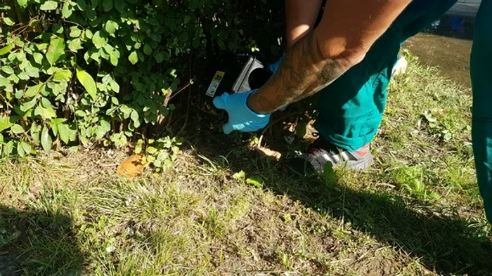 Sunt puse anunțuri pe stălpii aflați în zonele unde se fac stropiri, pentru ca oamenii să nu iasă din case, după ora 22.00