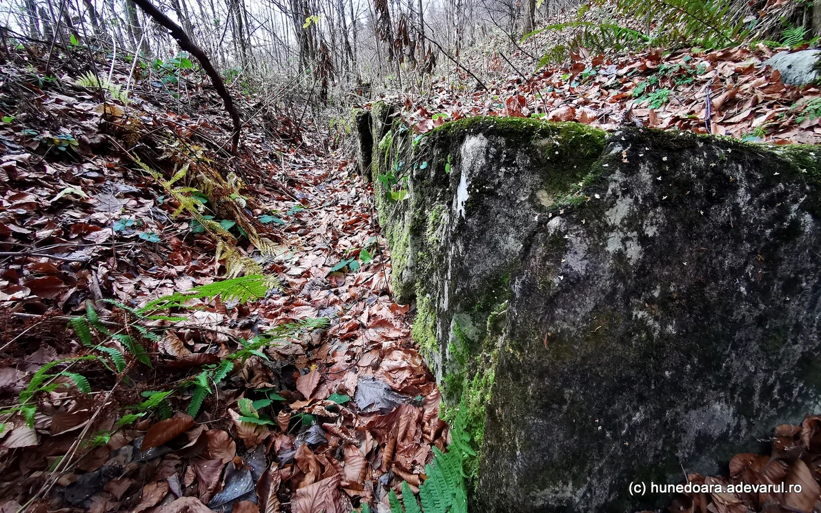 Cetatea dacica Fețele Albe Foto Daniel Guță (34) jpg