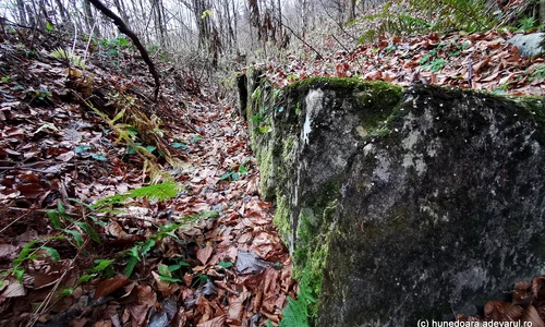 Cetatea dacica Fețele Albe  Foto Daniel Guță (34) jpg