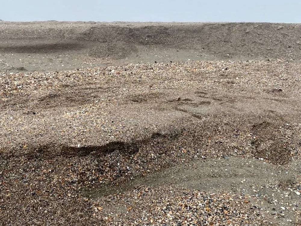 Terase de nisip de aproape un metru pe litoral sculptate de vântul puternic. Ce este fenomenul de cliffing