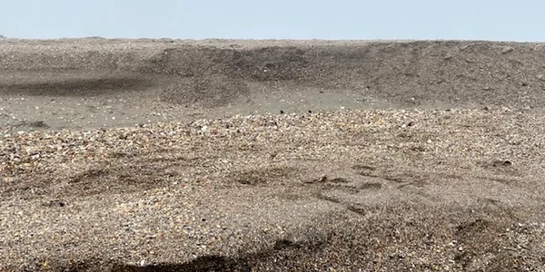 fenomenul de cliffing la Mamaia jpg