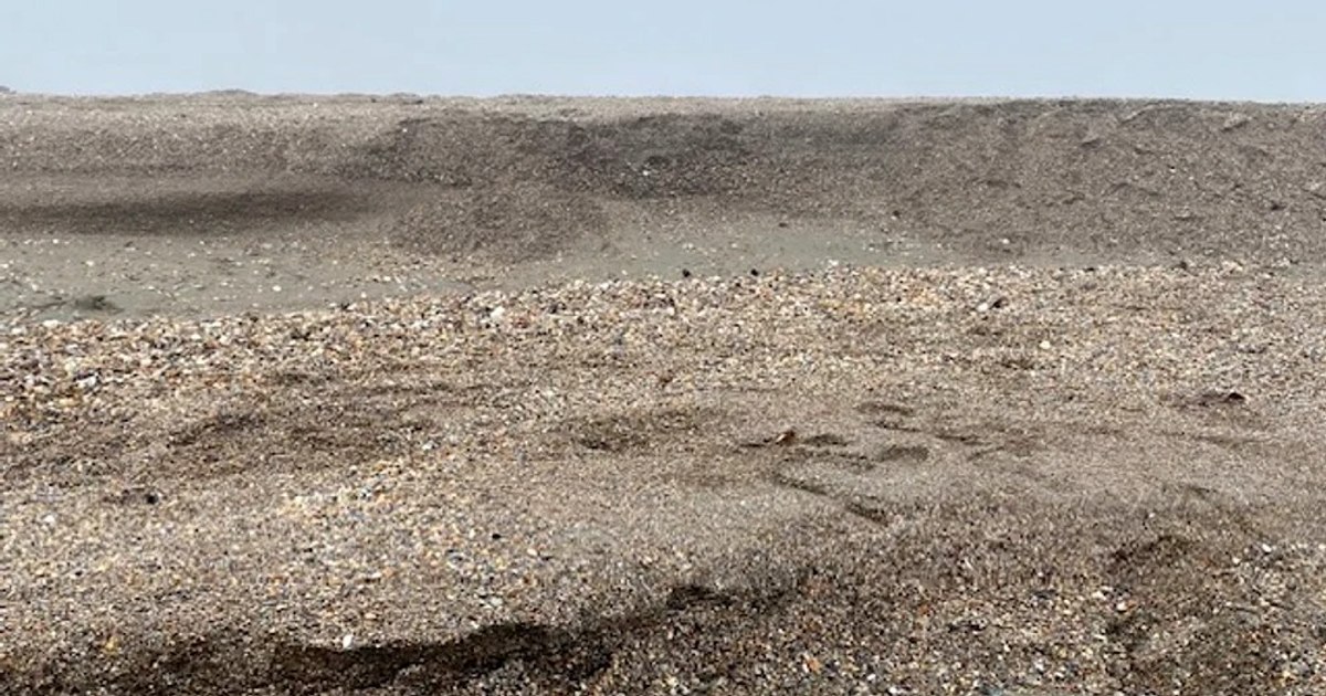 Vântul puternic formează terase de nisip pe litoral: Ce este cliffing-ul? Vântul puternic formează terase de nisip pe litoral: Ce este cliffing-ul?