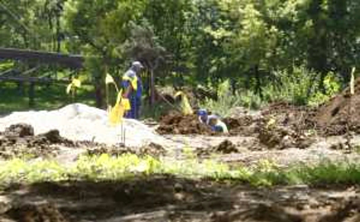 În Parcul Drumul Taberei din Capitală se lucrează FOTO David Muntean