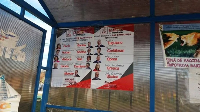 afisaj g ocnitei