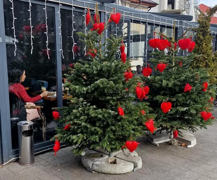 Hoții au prădat brazii împodobiți cu inimioare din fața unui restaurant. FOTO Crina Țintă