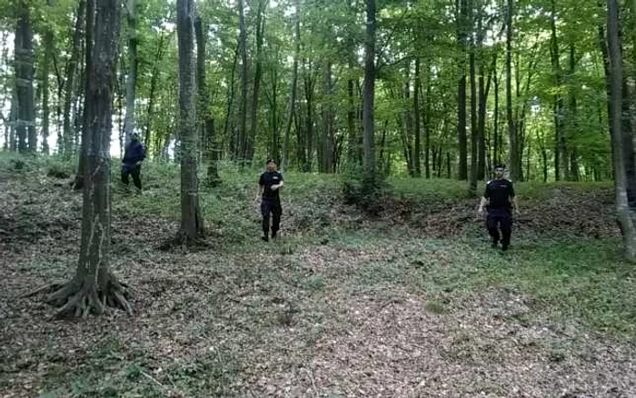 Bătrân plecat după ciuperci, dat dispărut