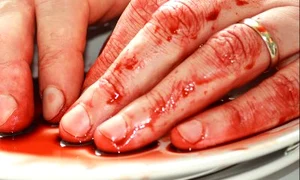 CLIIMA20100309 0103 1 jpeg