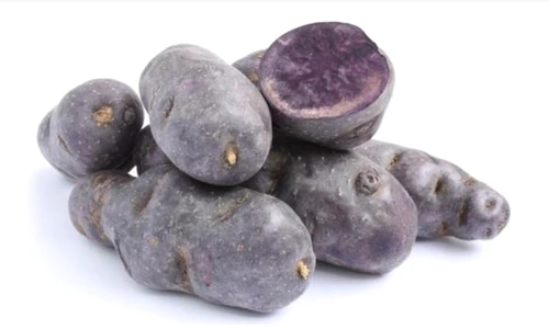 1 64759 original jpg jpeg