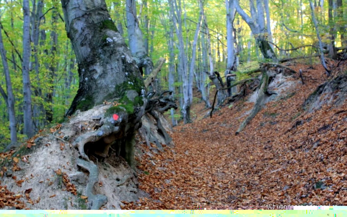 cetatea dacica blidaru foto daniel guta adevarul