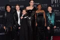 Angelina Jolie și copiii ei  foto   Shutterstock jpg