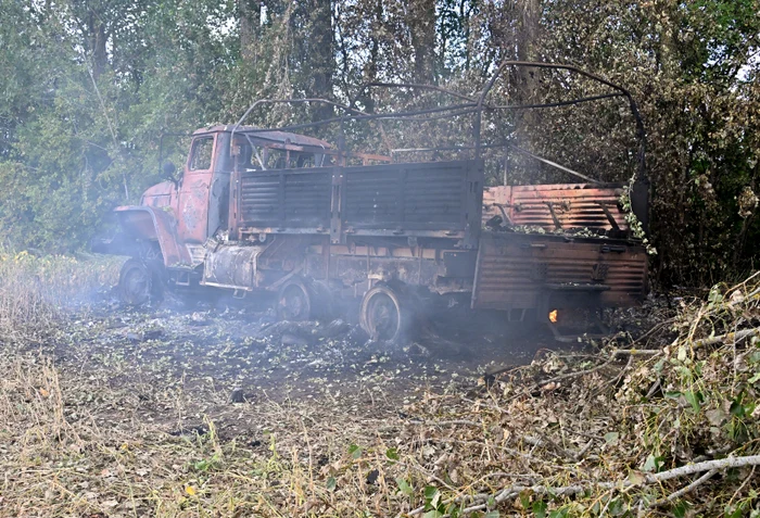 foto camion ars în pădure
