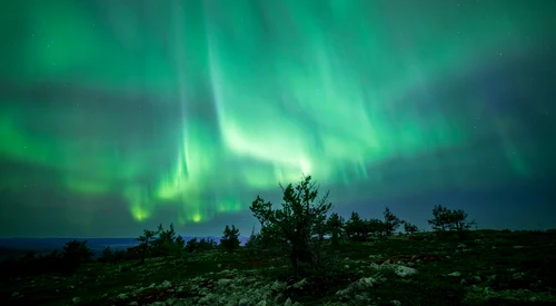 Gentle but wide green aurora display over Levi, Kittilä, Lapland, Finland, 2023 September   2 jpg