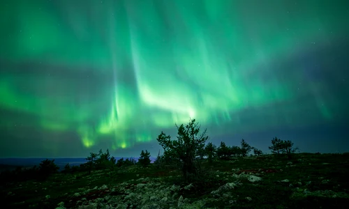 Gentle but wide green aurora display over Levi, Kittilä, Lapland, Finland, 2023 September   2 jpg
