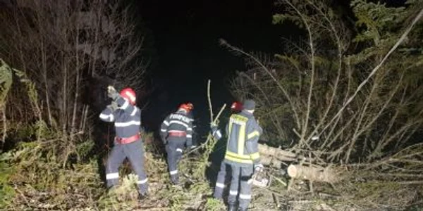 brazi doborâti de viscol foto isu