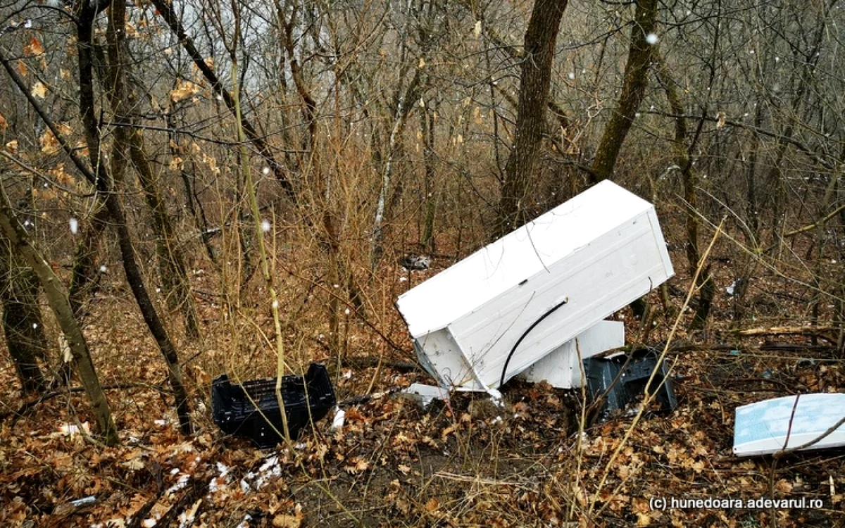Un frigider şi o maşină de spălat, aruncate pe malul Lacului Cinciş. ADEVĂRUL.