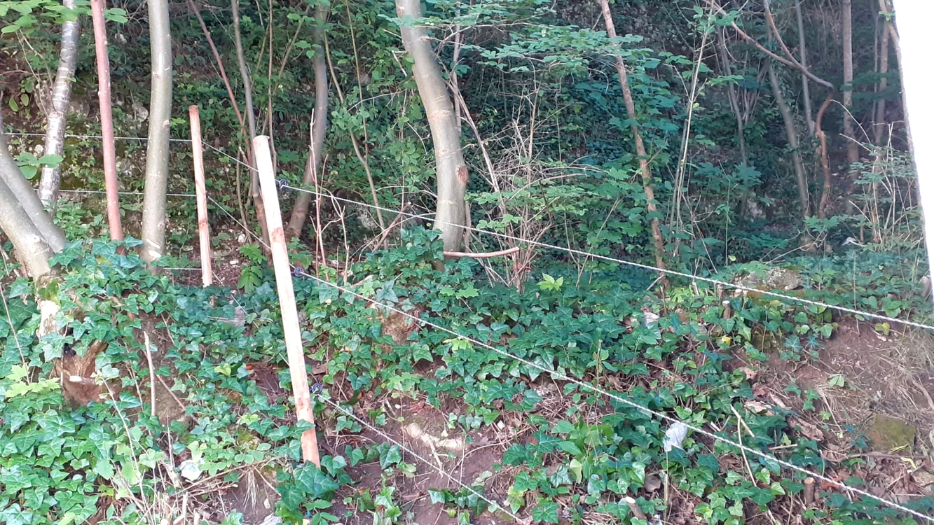 Gardul electrificat anti-urși din Râșnov