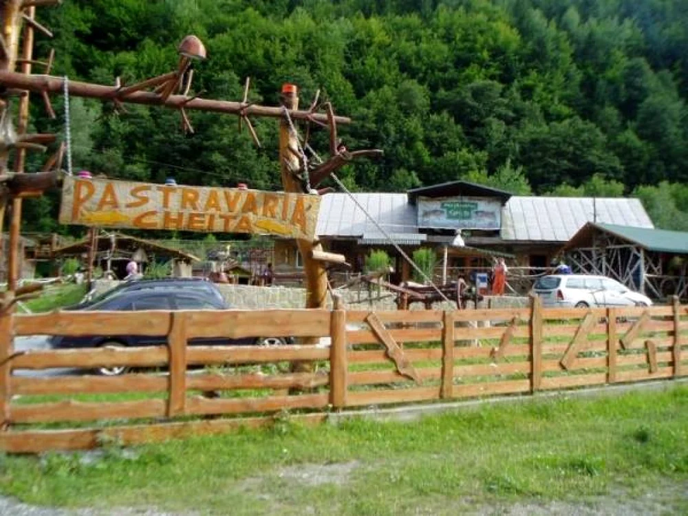 pastravariecheita1