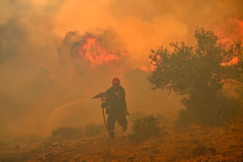 Incendii masive de vegetație în Grecia FOTO Profimedia