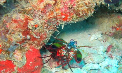 1 74300 original jpg jpeg