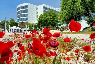Litoral românesc FOTO Ovidiu Oprea