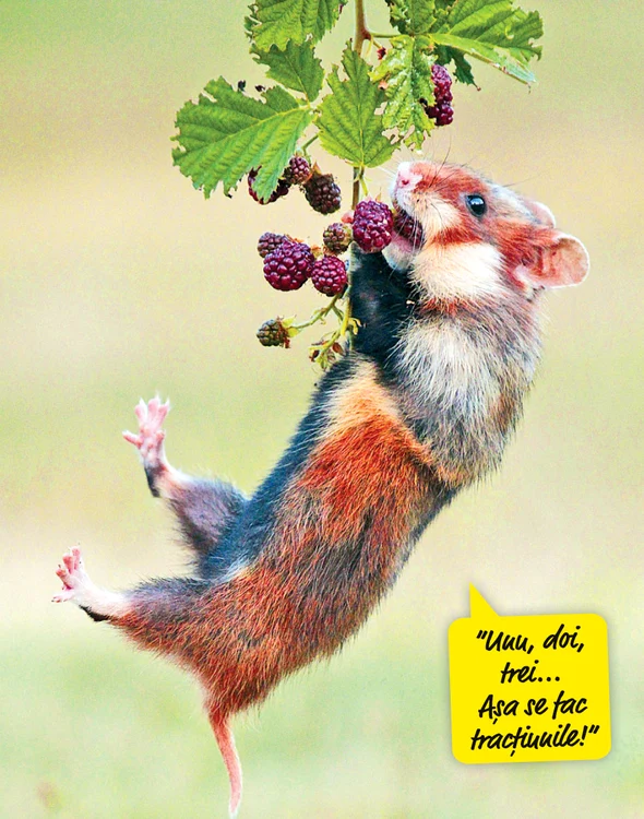 Foto: Photoland/Caters