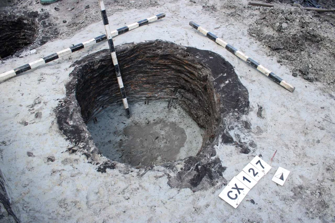O lopată din lemn din Epoca bronzului, descoperită pe traseul Autostrăzii Transilvania (foto: Muzeul Județean de Istorie și Artă Zalău)