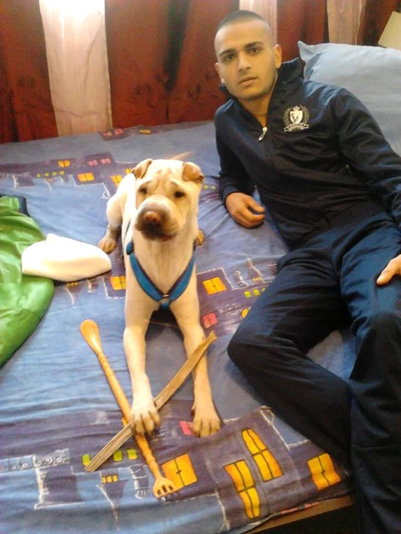 Bogdan Velcu a fost condamnat la 6 ani de închisoare cu executare