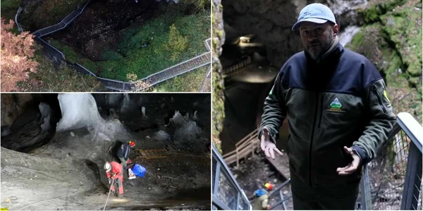 Ecologizare la Ghetarul Scărișoara Foto Parcul Natural Apuseni  jpg