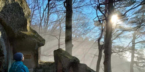 327272314 512610460946723 2521238404931768693 n jpg