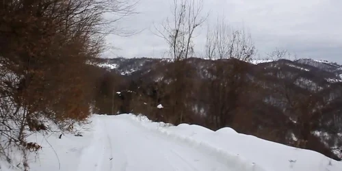 5c4092c0df52022f75b836b7 jpg