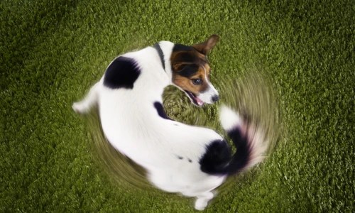 1 shutterstock 145264762 jpg jpeg