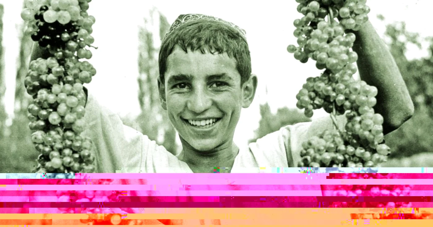 armeni
