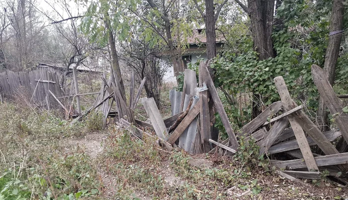 Case abandonate în cătunul de pe malul Siretului FOTO: Help Lăbuș