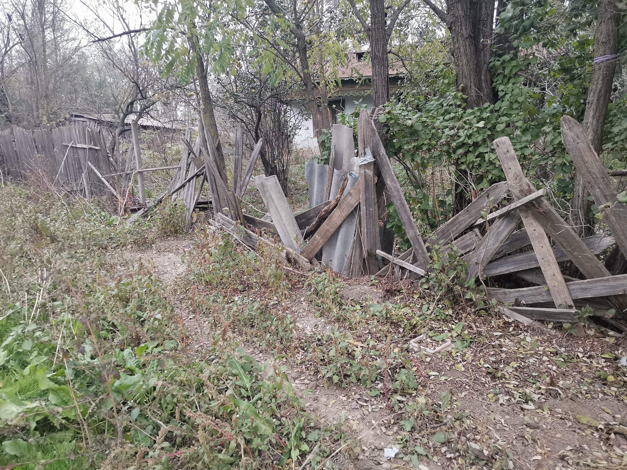 Satul uitat de timp, protejat de câini. Doar o bătrână rezistă în fața dispariției celor 200 de locuitori FOTO