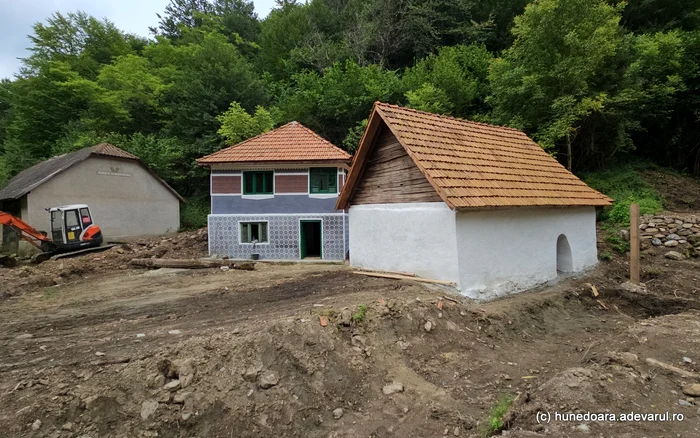Clădirile morii din Runcu Mare. Foto: Daniel Guță. ADEVĂRUL