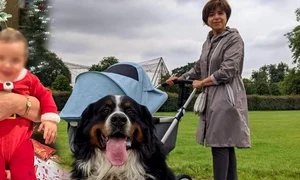 cub cristiana copos png